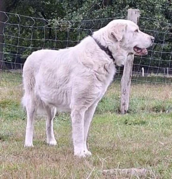 Schönheit Lana möchte ein ruhiges Zuhaus