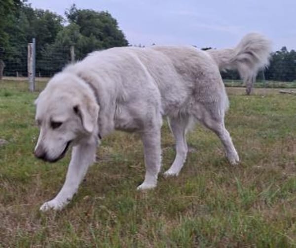 Schönheit Lana möchte ein ruhiges Zuhaus
