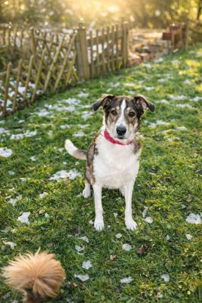 wunderschöne Jill sucht dich🍀