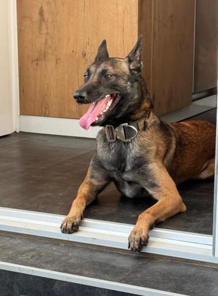 Odin sucht seine Menschen