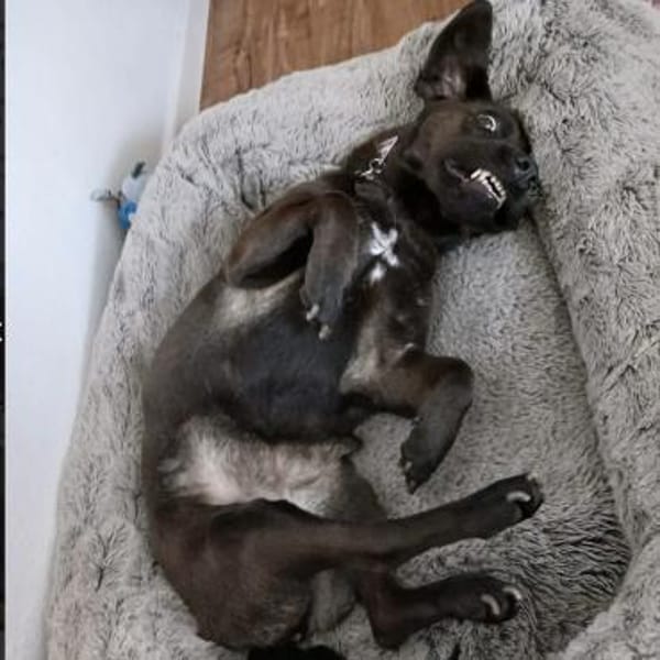 NERINA MUSS IHR ZUHAUSE VERLASSEN