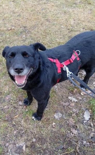 liebe Claire auf PS in 90473