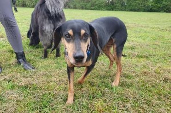 Bettina - wartet in 42859 Remscheid