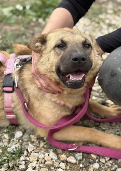 Dawa ist eine Zuckerschnute 🐾