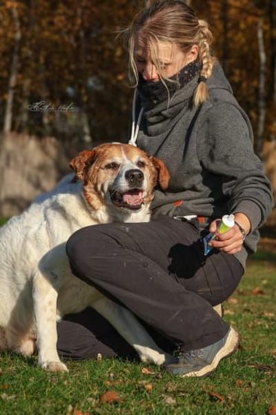 Martin  ein treuer Kerl