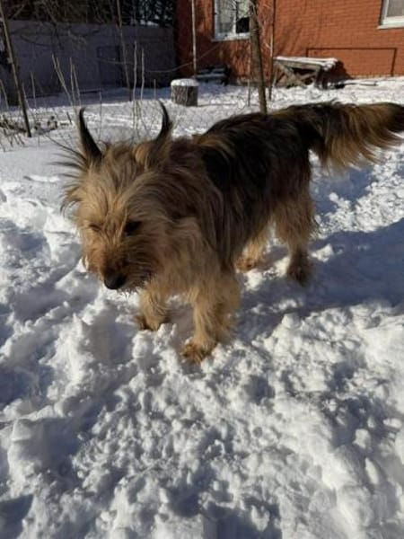 Betty sucht ihr liebevolles Zuhause