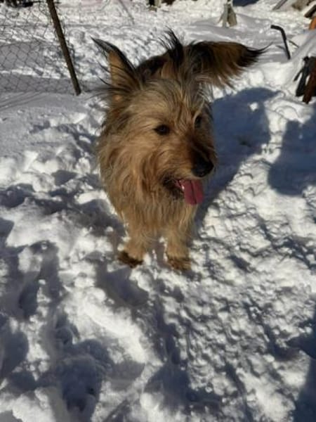 Betty sucht ihr liebevolles Zuhause