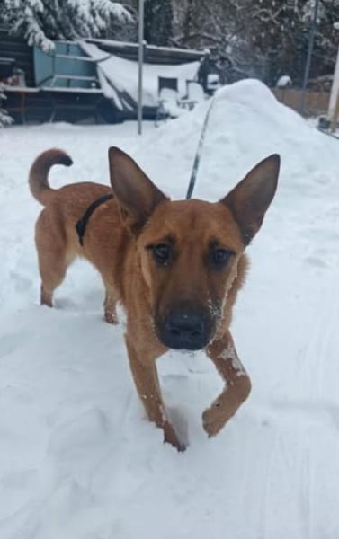 Jette - kleine Abenteurerin 😍