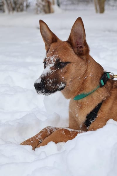 Jette - kleine Abenteurerin 😍