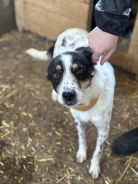 Allrounder Fenja ist bereits in DE