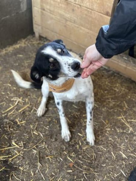 Allrounder Fenja ist bereits in DE