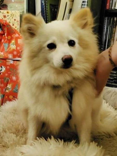 Roma sehnt sich nach Geborgenheit