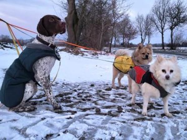 Roma sehnt sich nach Geborgenheit