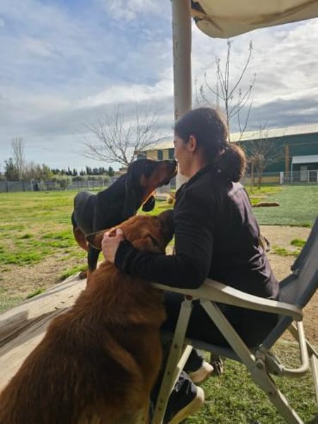 ASKANI ❤ wundervoller Gefährte Kevelaer