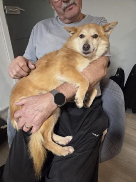 Rusty - freundlich und lieb