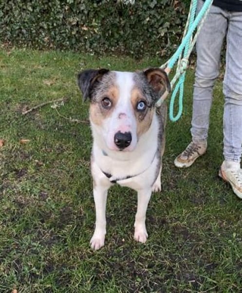 KLEIN-in Deutschland auf Pflege!