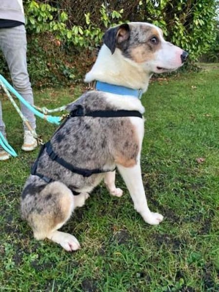 KLEIN-in Deutschland auf Pflege!