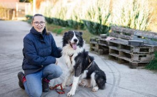 Großer Carlos sucht passendes Zuhause