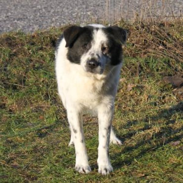 Sven  - er erhellt meine Welt?