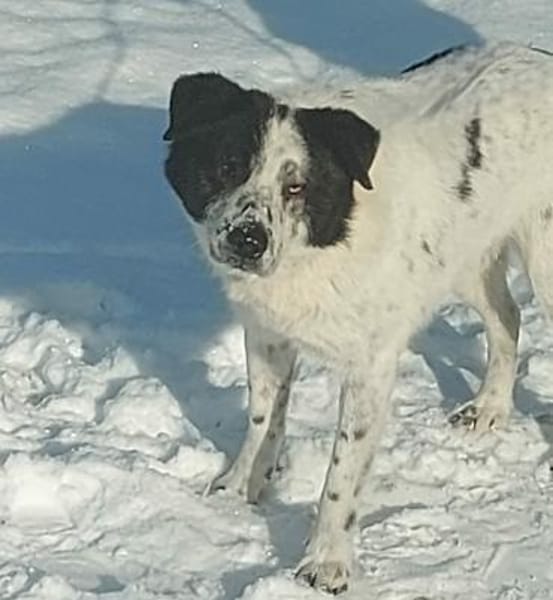 Sven  - er erhellt meine Welt?