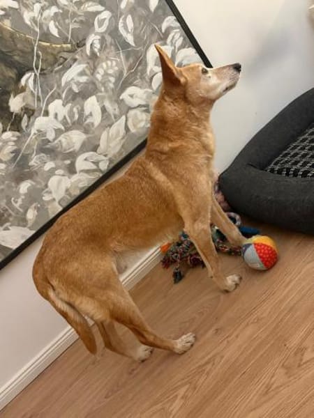 rüstiger Angel möchte das Leben genießen