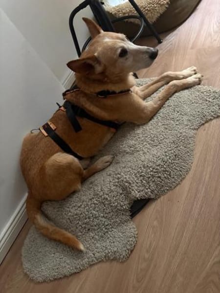 rüstiger Angel möchte das Leben genießen