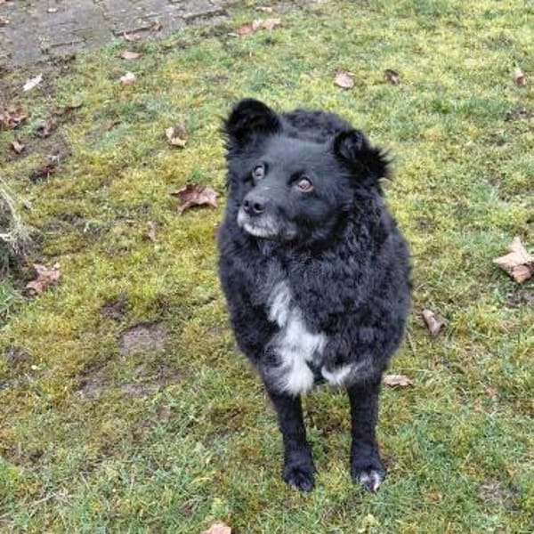 Annie ein absoluter Schatz