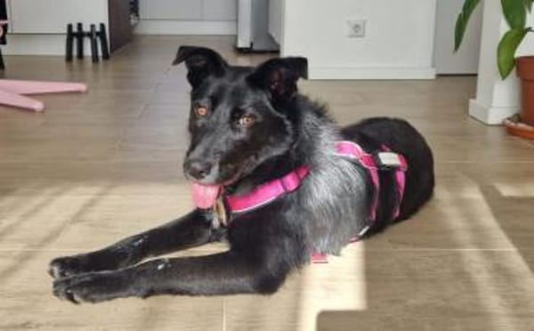 Mindy sucht ihr Glück