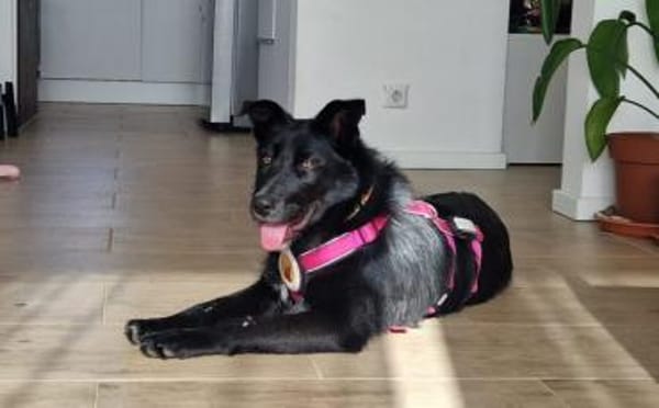 Mindy sucht ihr Glück