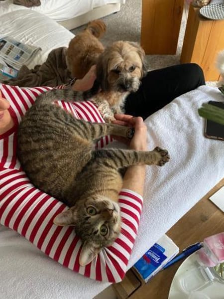 🐾 Kleiner Caramelo sucht Geborgenheit