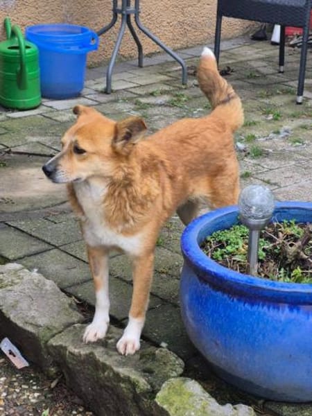 Tobi, freundlich, Menschen bezogen