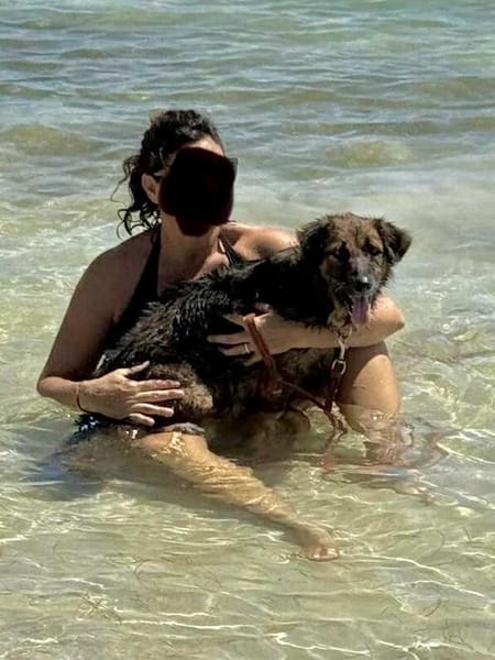 Bobby, un créole doux et timide