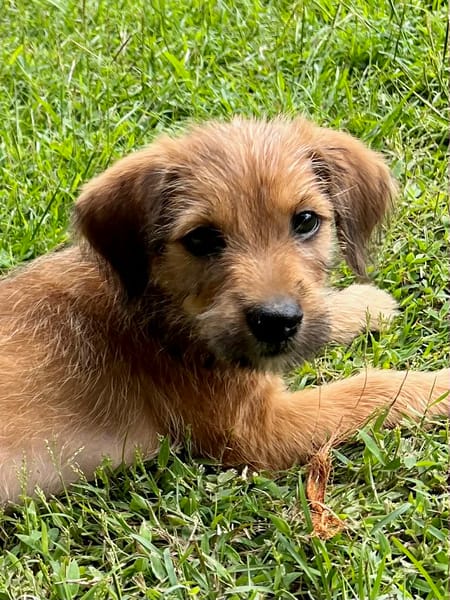 YOUPI, un bébé génial