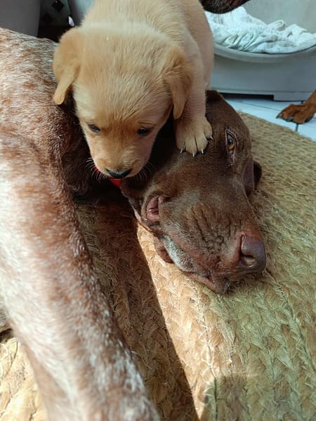 Kiara, gentille et adorable