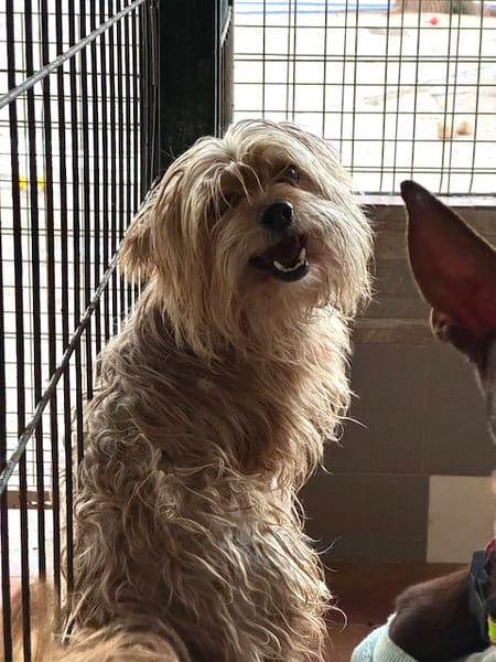 CASILDO (Puertollano)