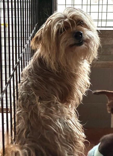 CASILDO (Puertollano)