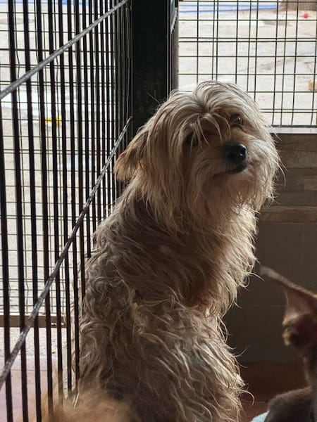 CASILDO (Puertollano)