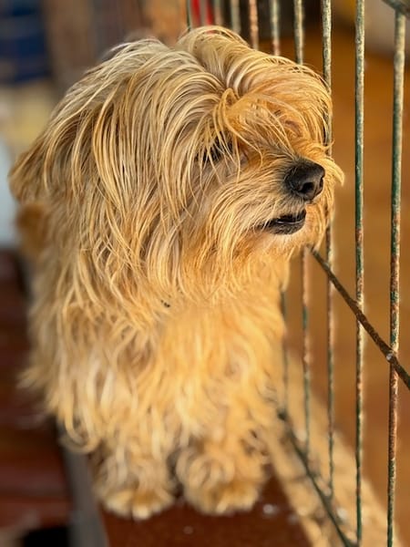 CASILDO (Puertollano)