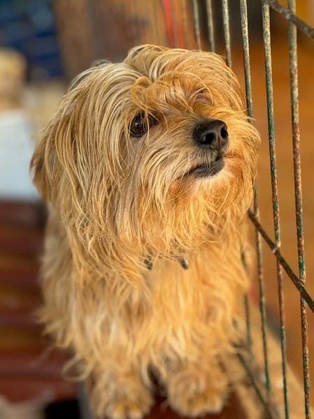 CASILDO (Puertollano)