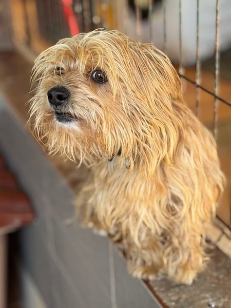 CASILDO (Puertollano)