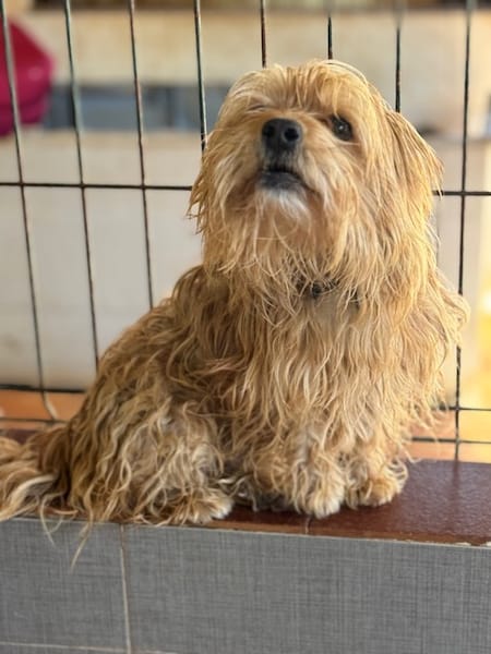 CASILDO (Puertollano)