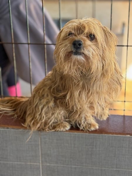 CASILDO (Puertollano)