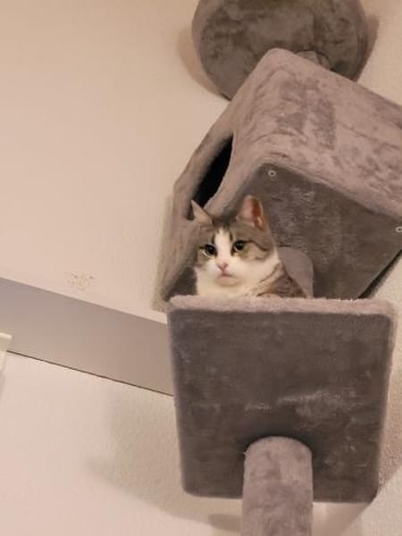 Süße Bura - sehr dringend!