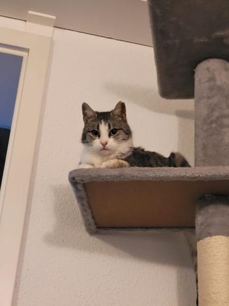 Süße Bura - sehr dringend!