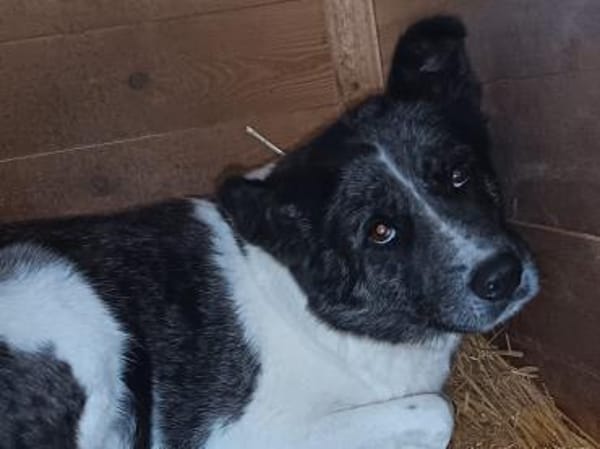 Izzy sucht ihre Familie