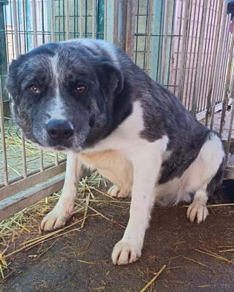 Izzy sucht ihre Familie