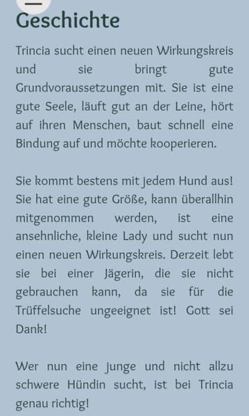 liebe , kleine Trincia 🥰