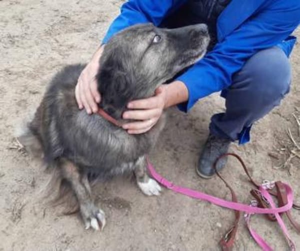 Ritch 🐾❤möchte sich mal wieder melden