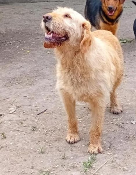 Die hübsche Zani wartet auf euch