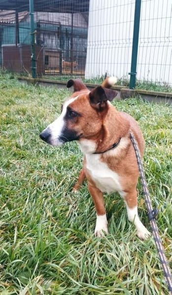 Kopè möchte ein Ticket ins Glück